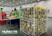 LÀM THẾ NÀO ĐỂ TỐI ƯU CHI PHÍ KHI SỬ DỤNG TỦ NITƠ LỎNG TRONG SẢN XUẤT?