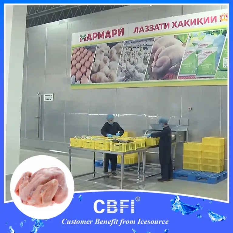 Giải pháp CBFI® IQF cho thực phẩm gia cầm