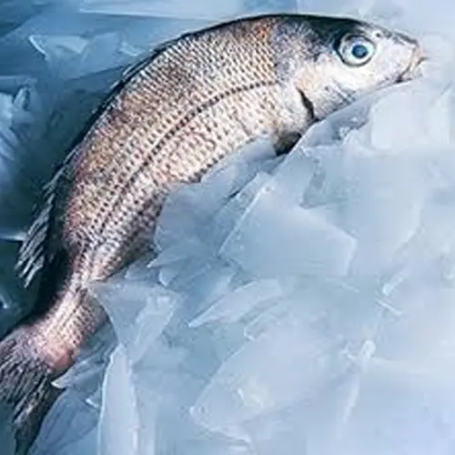 In-depth application of flake ice machine in food processing